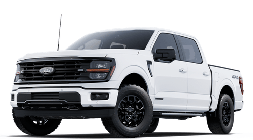 2025 Ford F-150 XLT BLACKOUT PACKAGE