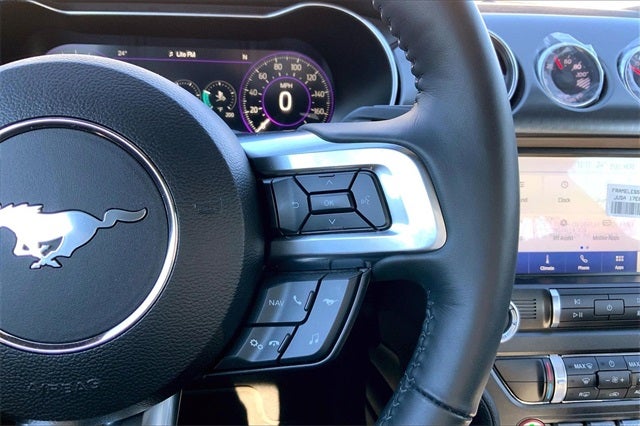 2021 Ford Mustang Mach 1