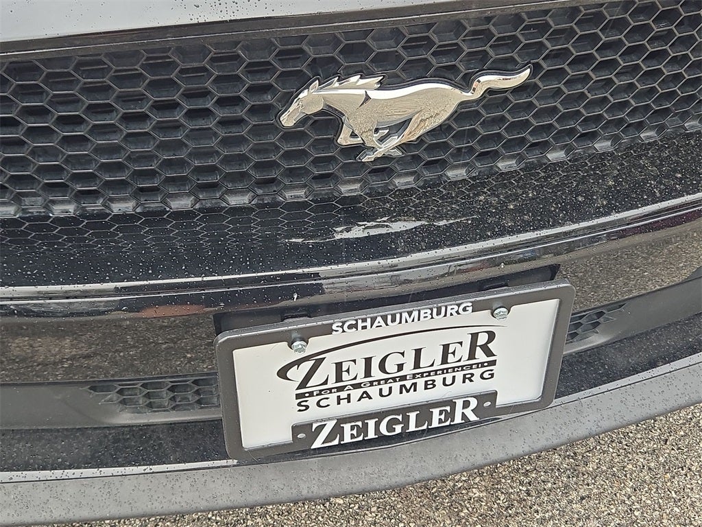 2019 Ford Mustang GT Premium Convertible