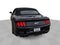 2019 Ford Mustang GT Premium Convertible