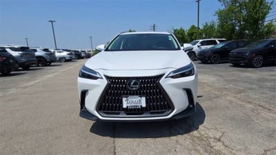 2024 Lexus NX 350 Base AWD