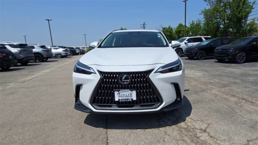 2024 Lexus NX 350 Base AWD