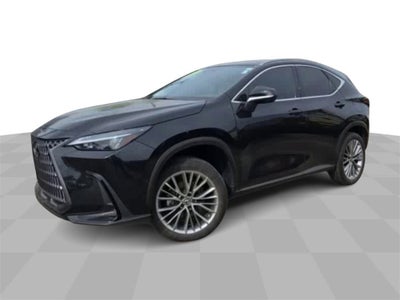 2022 Lexus NX 350h Luxury AWD