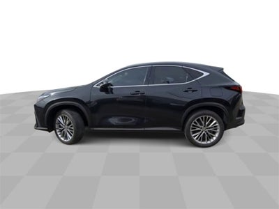2022 Lexus NX 350h Luxury AWD