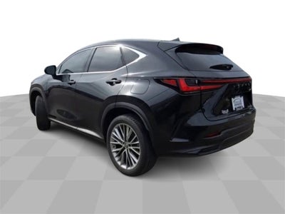2022 Lexus NX 350h Luxury AWD