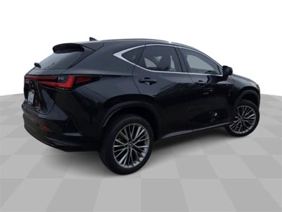 2022 Lexus NX 350h Luxury AWD